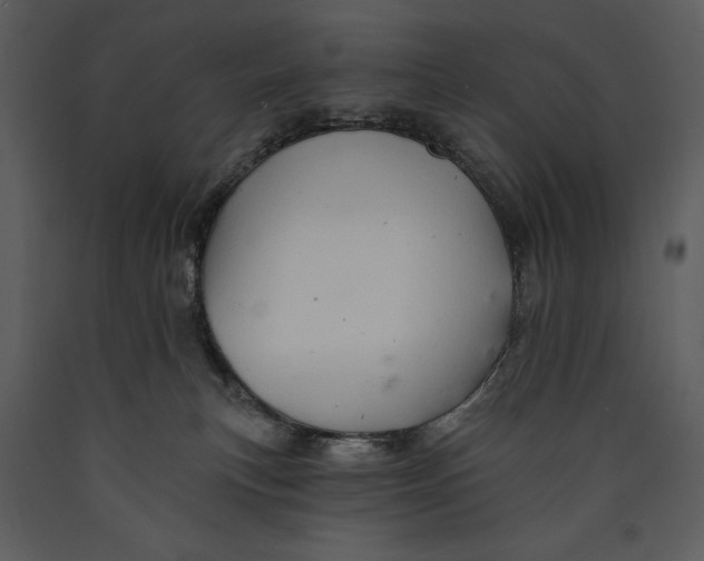 X0000089660183200707191657