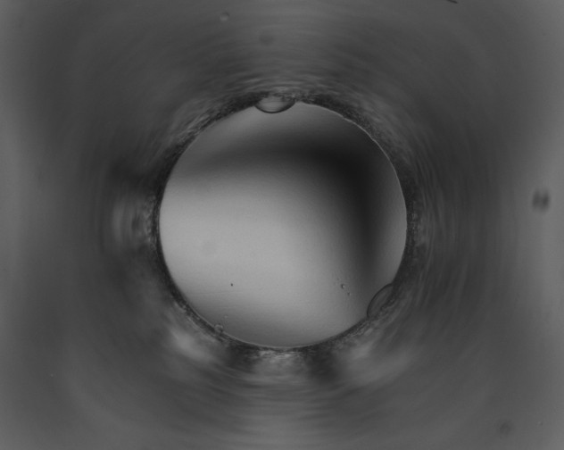 X0000089660185200707191657