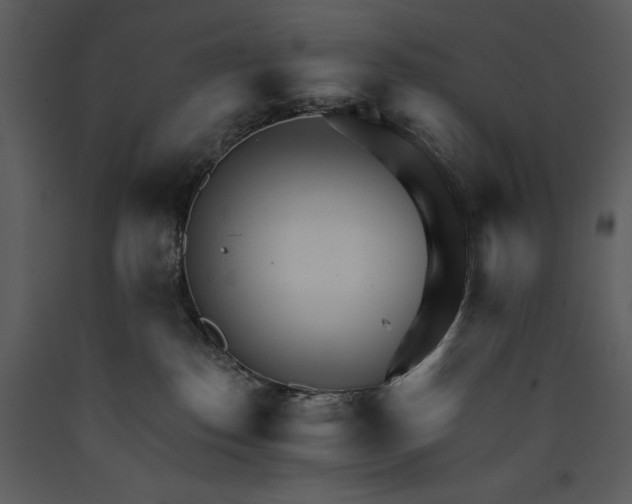 X0000089660186200707191657