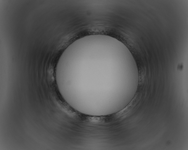 X0000089660187200707191657