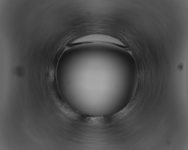 X0000089660188200707191657