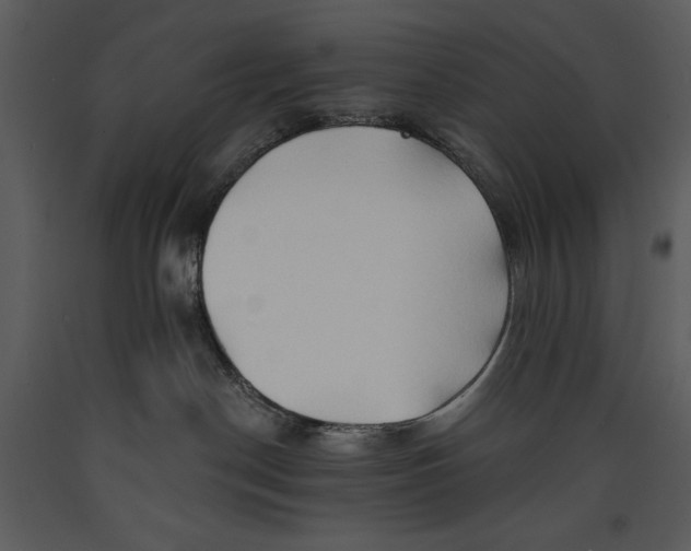 X0000089660190200707191657