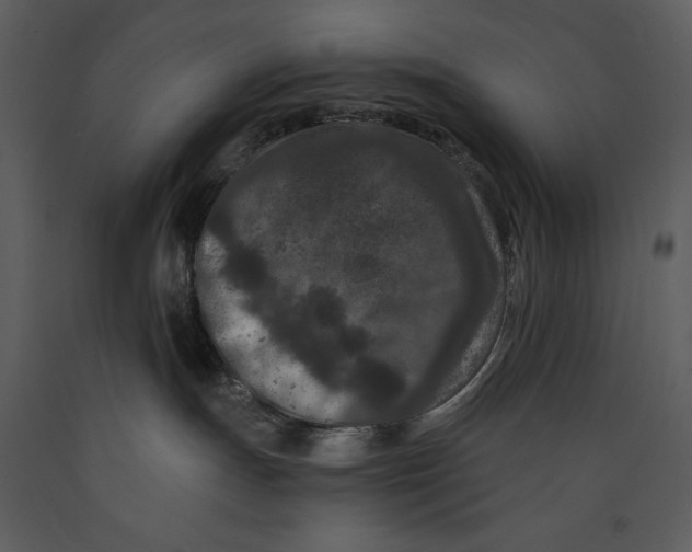 X0000089660191200707191657