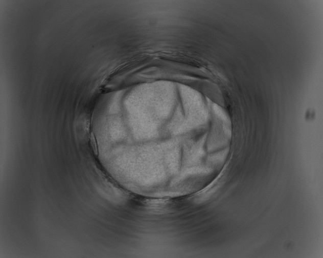 X0000089660192200707191657