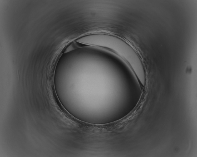 X0000089660193200707191656