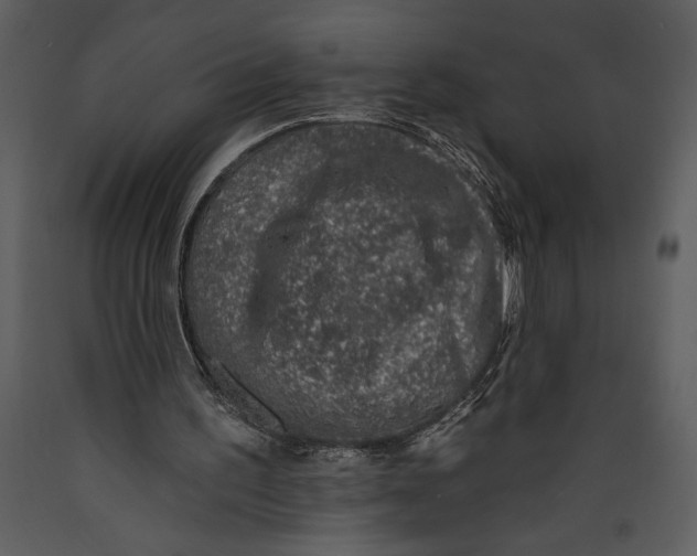 X0000089660195200707191656
