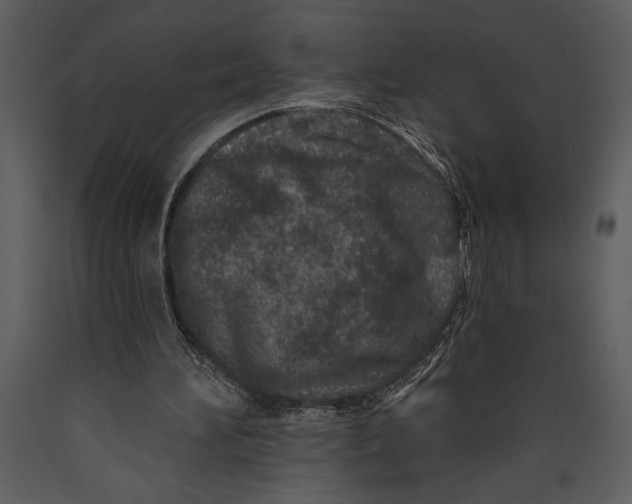 X0000089660196200707191656