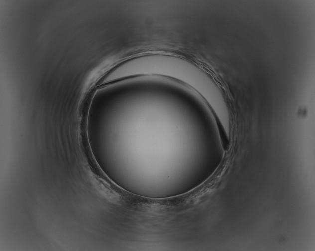 X0000089660197200707191656