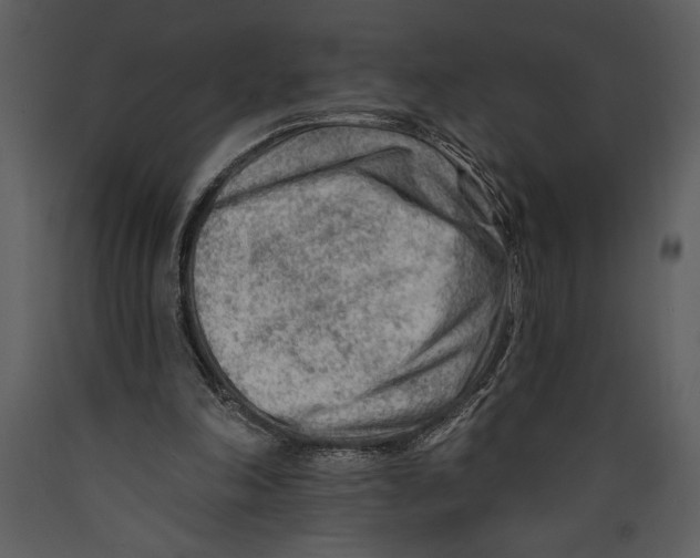 X0000089660198200707191656