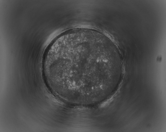 X0000089660199200707191656
