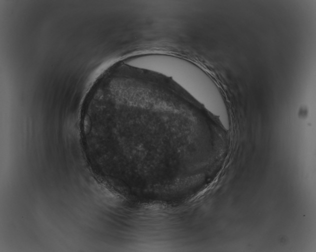 X0000089660200200707191656