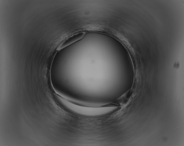 X0000089660201200707191656