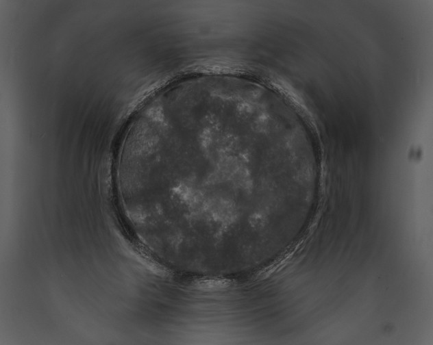 X0000089660202200707191656
