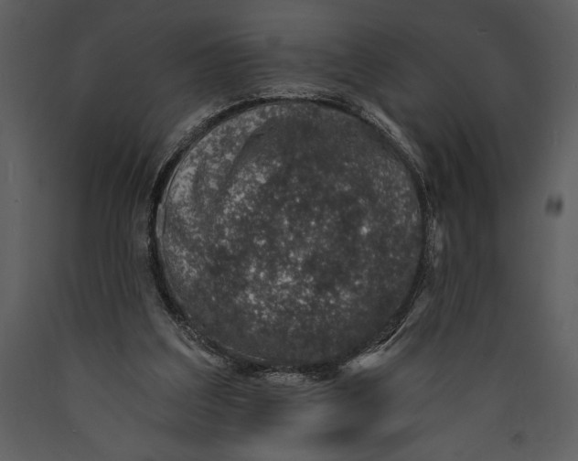 X0000089660203200707191656