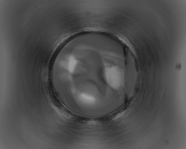 X0000089660204200707191656