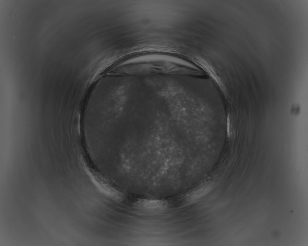 X0000089660205200707191656