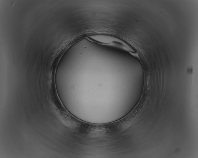 X0000089660206200707191656