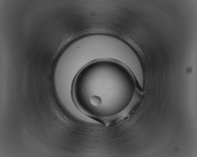 X0000089660207200707191656