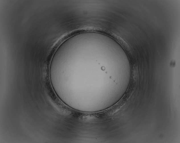 X0000089660208200707191656