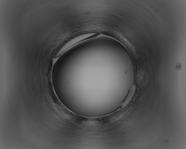 X0000089660209200707191656