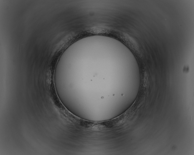 X0000089660210200707191656