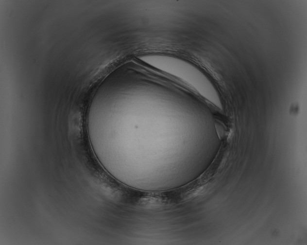 X0000089660211200707191656