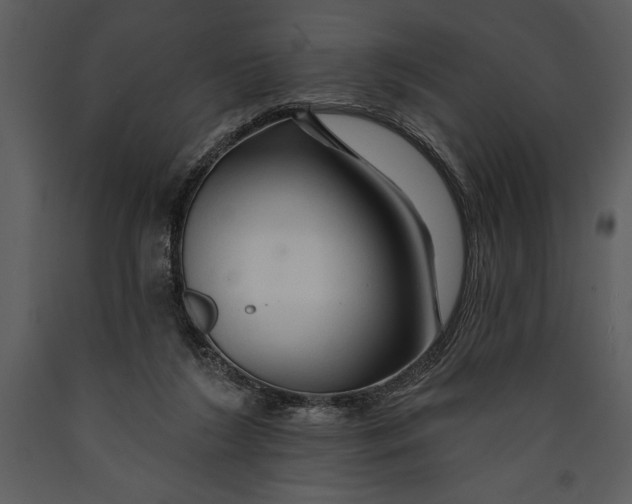 X0000089660212200707191656