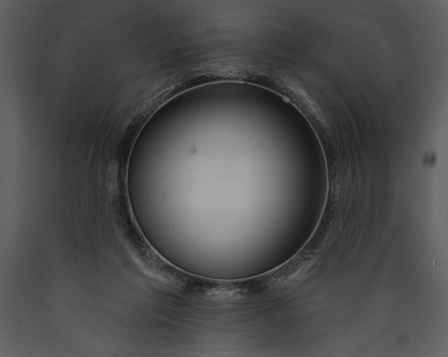 X0000089660213200707191656