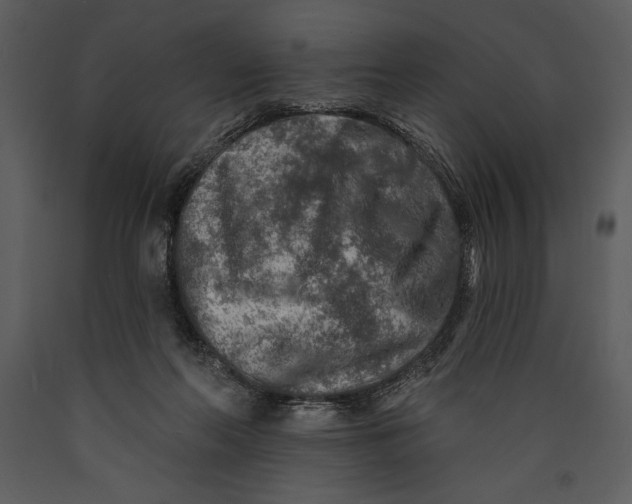 X0000089660214200707191656