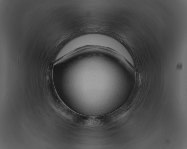 X0000089660215200707191656
