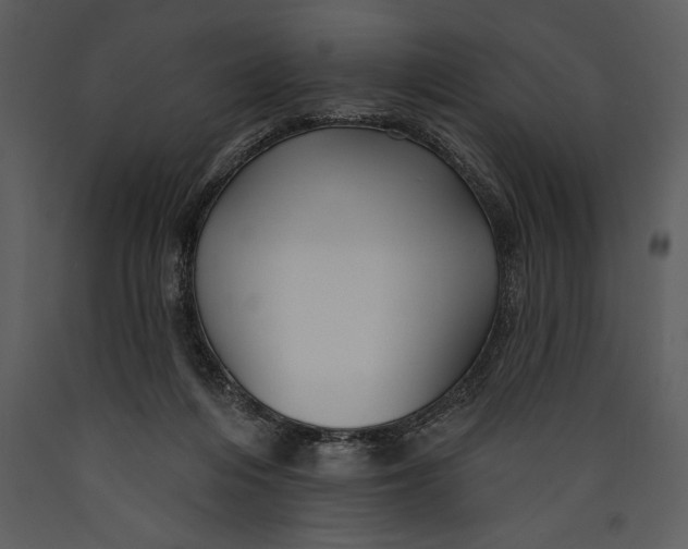 X0000089660216200707191656