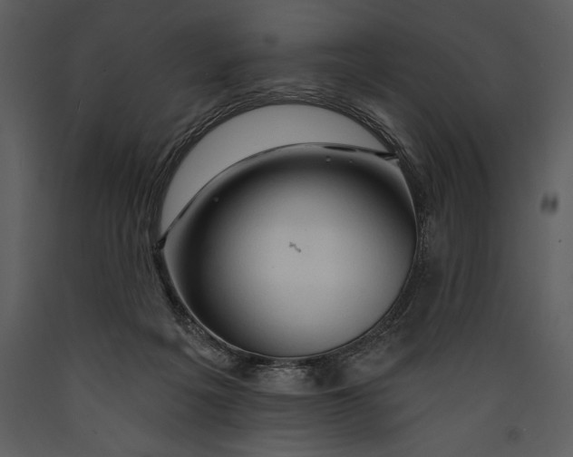 X0000089660217200707191656