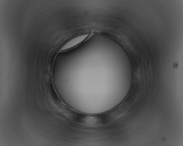 X0000089660218200707191656