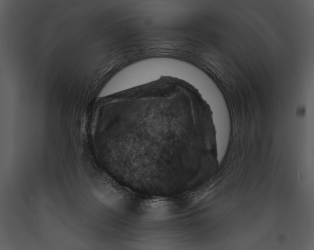 X0000089660219200707191656