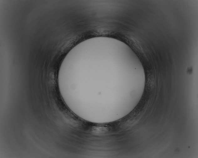 X0000089660220200707191656