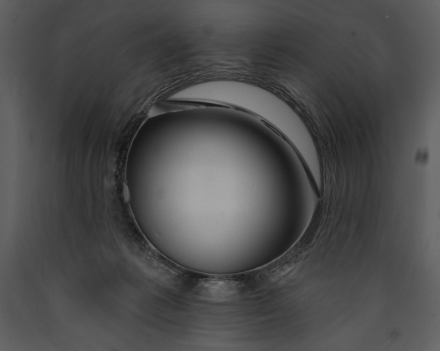 X0000089660221200707191656