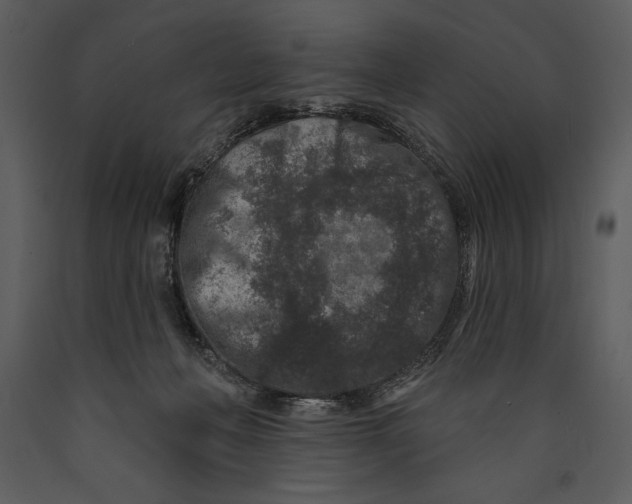 X0000089660222200707191656
