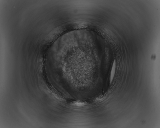 X0000089660223200707191656