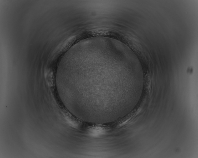 X0000089660224200707191656