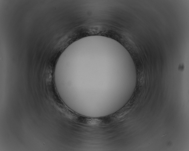 X0000089660226200707191656
