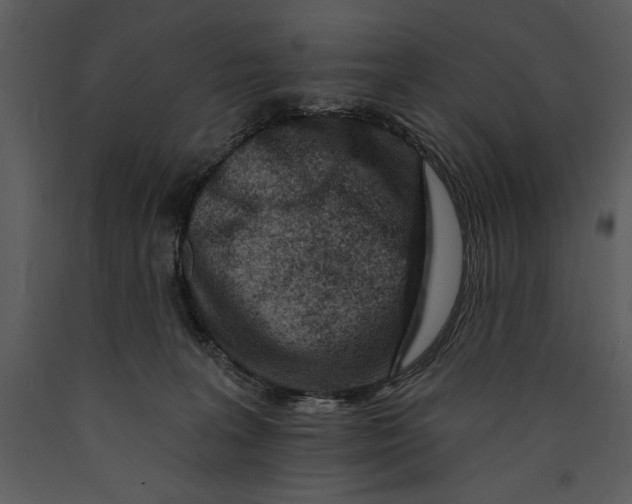 X0000089660227200707191656