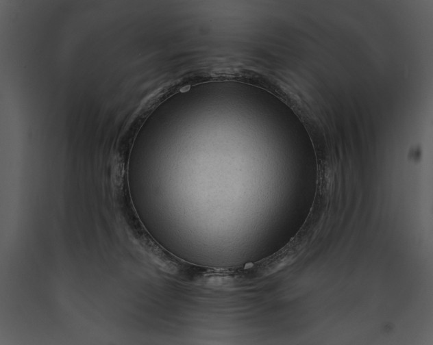 X0000089660228200707191656