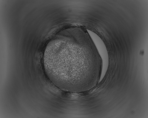 X0000089660229200707191656