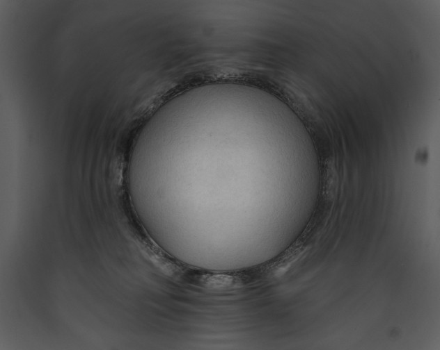 X0000089660230200707191655