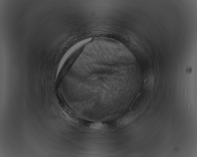 X0000089660231200707191655