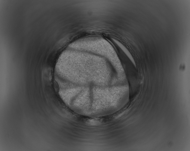 X0000089660232200707191655
