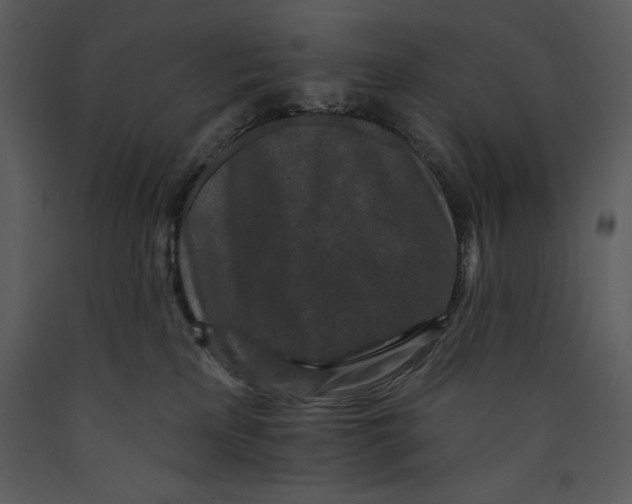 X0000089660233200707191655