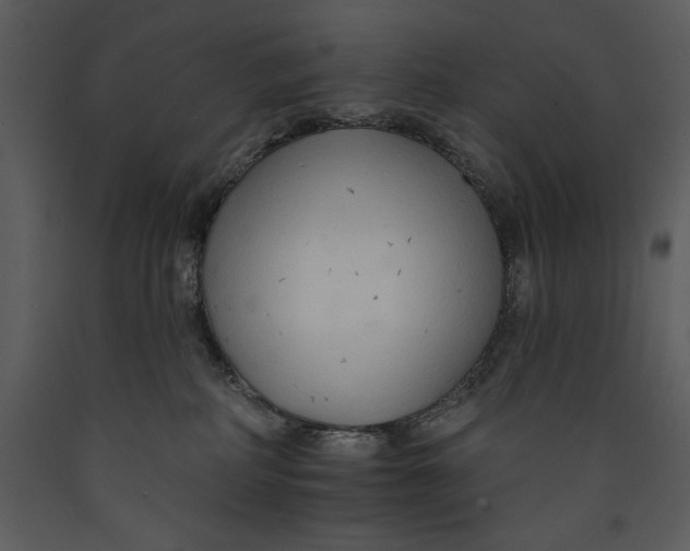 X0000089660234200707191655