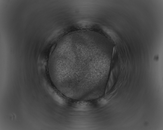 X0000089660235200707191655