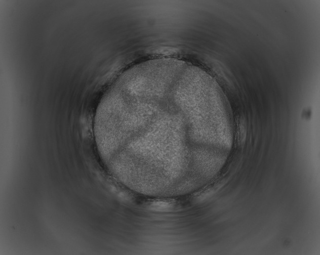 X0000089660236200707191655